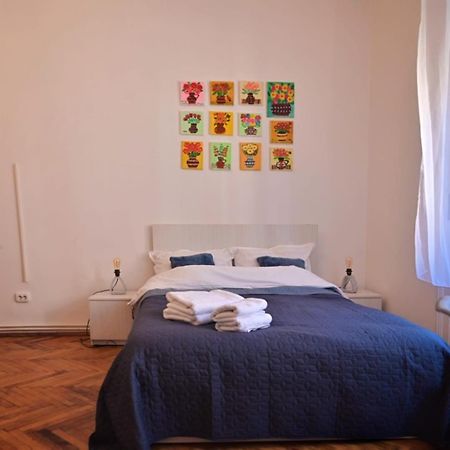 Travel And Music Apartment Timisoara Esterno foto