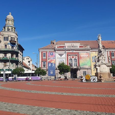 Travel And Music Apartment Timisoara Esterno foto