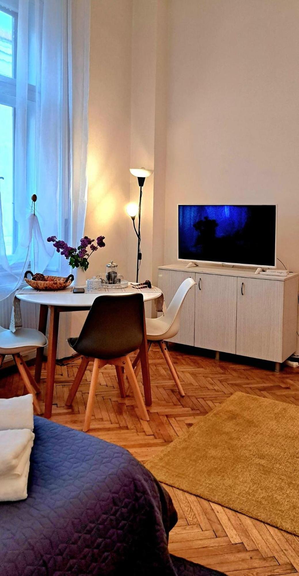 Travel And Music Apartment Timisoara Esterno foto